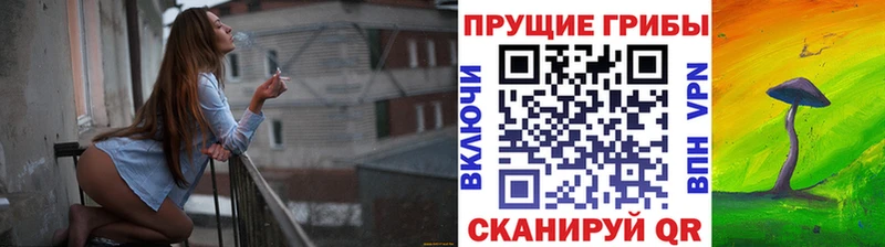 Псилоцибиновые грибы Psilocybine cubensis  Купить  Демидов 